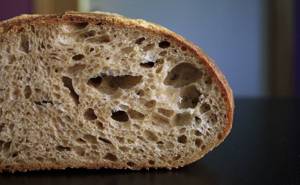 dailybread_midden_24h