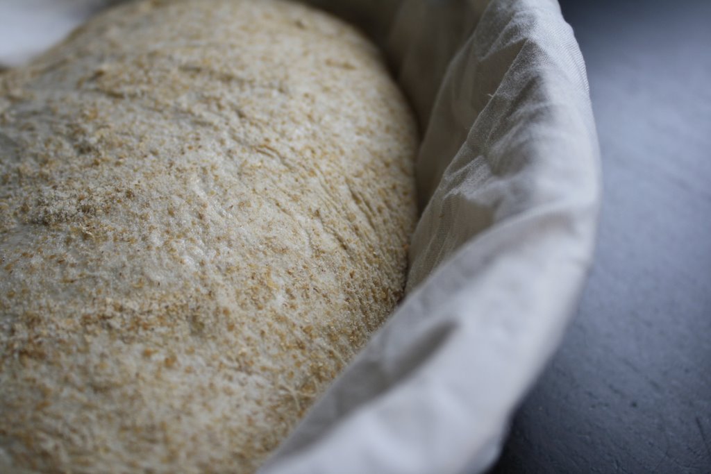 Een closeup van een rijzend broodje